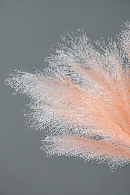 Add drama and style to any room with a beautiful spray of pampas grass. Crafted to show the full feather effect, these are the sized for impact and are perfect to drop into your favorite vase for a natural element.