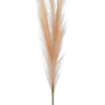 Add drama and style to any room with a beautiful spray of pampas grass. Crafted to show the full feather effect, these are the sized for impact and are perfect to drop into your favorite vase for a natural element.