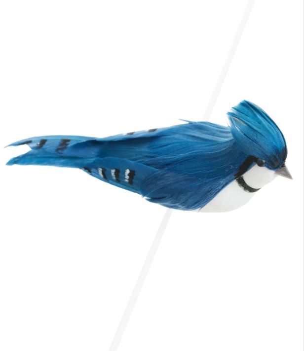 Add a splash of color to your decor with our Blue Jay Bird with Clip, crafted from foam and adorned with vibrant feathers. This charming accent features stunning blue hues and intricate detailing, capturing the essence of this beautiful bird.