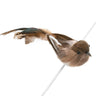 Enhance your decor with our Natural Foam and Feather Bird with Clip. This charming accent features a beautifully crafted design that combines soft feathers and a natural foam body, creating a lifelike appearance.