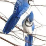 Bring a vibrant touch to your decor with our Blue Jay with Clip. This beautifully crafted accent showcases striking blue and white feathers, capturing the essence of this lively bird.