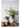 Use the lovely Candia Ceramic Vase to bring warm neutral color and on-trend metallic sheen to your favorite space. The colors and distressed finish come together to create a style that transcends eras. The medium size makes it easy to find a suitable home for this vase on a table, shelf, or as part of a decorative arrangement.