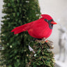 Introduce a touch of festive cheer to your decor with our Cardinal with Clip. This beautifully crafted accent features vibrant red hues and intricate detailing, capturing the essence of this beloved bird.