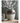 Candia Terracotta Vase,Sienna Brown, Tall