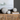 Three stone spheres on a wooden cabinet with a neutral background