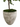 Black Olive “Shady Lady” in Large Shiloh with Reindeer Moss – 8’