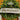 Measuring 6" wide and 70" long, this enchanting banner features a soft velvet front embellished with shimmering gold glitter, creating a festive and uplifting message. The gold back adds a touch of elegance, making it perfect for hanging over doorways, mantels, or walls. Ideal for holiday gatherings or everyday inspiration, this beautiful banner brings warmth and charm to your decor, reminding everyone to believe in the magic of the season!