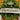 Measuring 6" wide and 70" long, this enchanting banner features a soft velvet front embellished with shimmering gold glitter, creating a festive and uplifting message. The gold back adds a touch of elegance, making it perfect for hanging over doorways, mantels, or walls. Ideal for holiday gatherings or everyday inspiration, this beautiful banner brings warmth and charm to your decor, reminding everyone to believe in the magic of the season!